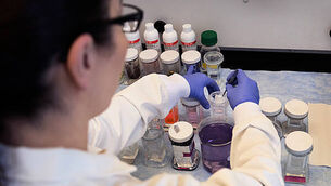 Feather in his cap as Dublin Zoo names parrot after World Cup qualifier hero Feather in his cap as Dublin Zoo names parrot after World Cup qualifier hero