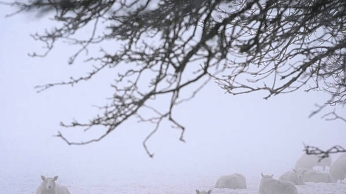 Snow and ice warning issued for five counties