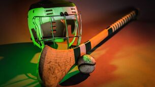 <p>The camogie club AGM will take place on Wednesday, November 19, at 7.30pm.</p>