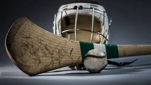 Anniversary of club's county hurling victory to be celebrated in Waterford