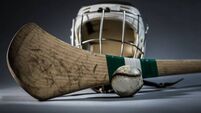 Anniversary of club's county hurling victory to be celebrated in Waterford