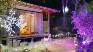 Winter Wonderland event to take place in County Waterford