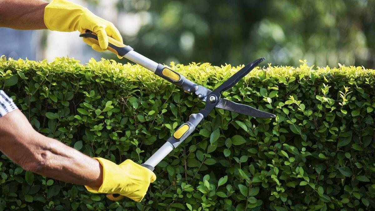 Green Fingers: Hedging your bets on boundaries