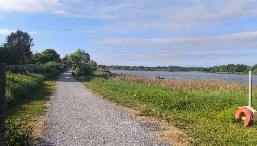 Until the bridge is completed, “I don’t think we’re going to see any new projects.” said Mr Wyse. 