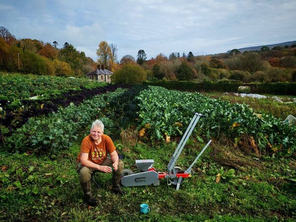 The couple grow seasonal veg 364 days per year (they take Christmas day off). Photo: Jolene Coady