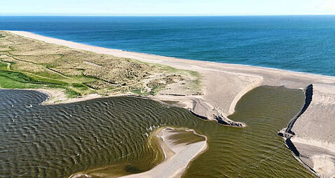 Government gives €700,000 to tackle pollution at Wexford lake