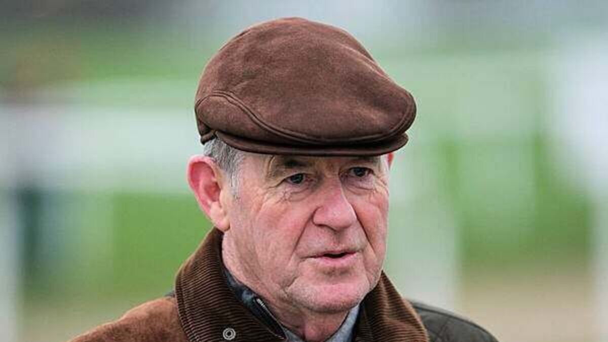 JP McManus's International Rugby Experience in Limerick records losses of €1.05m