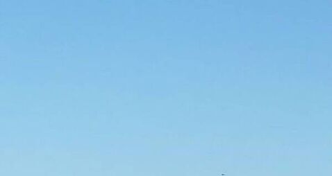 Initial report into fatal plane crash in Co Waterford due within 30 days