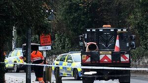 Woman (19) seriously injured after being struck by a truck in Co Limerick