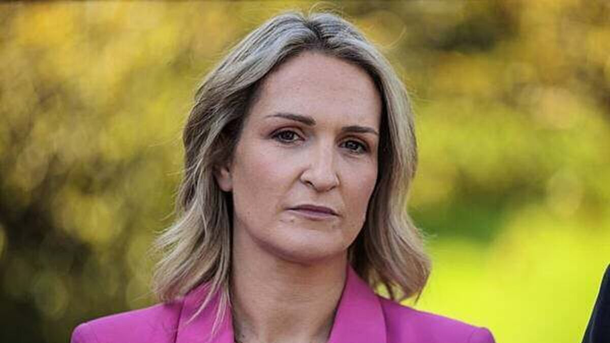 European voice must be ‘front and centre’ of Ukraine peace deal talks – McEntee