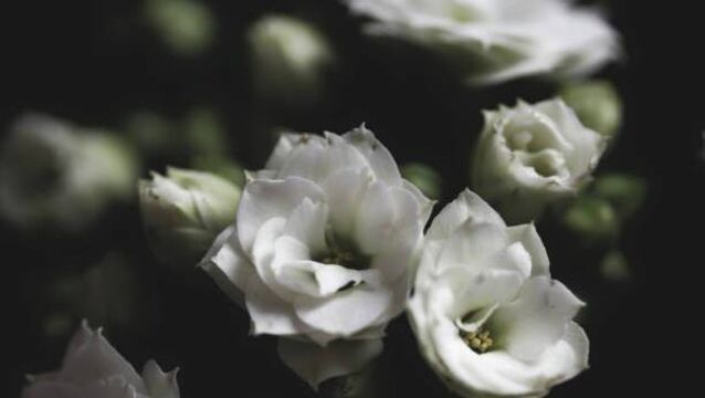 <p>May they rest in peace</p>