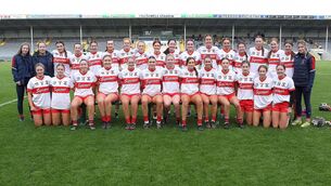<p>The De La Salle panel that took on St Finbarr's in the AIB Munster Senior Club Camogie Championship Final.</p>