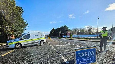 Two men killed in Meath collision named locally