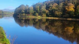 <p>November is a time to enjoy the last of the autumn colours</p>