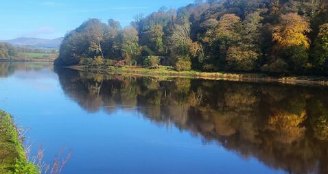 Local Notes: Local camogie, get well wishes, congratulations on new baby and more