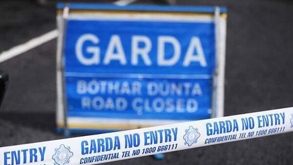 Man (80s) dies after road crash in Co Kildare