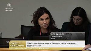 Tusla chief apologises for statement issued after alleged sexual assault of girl