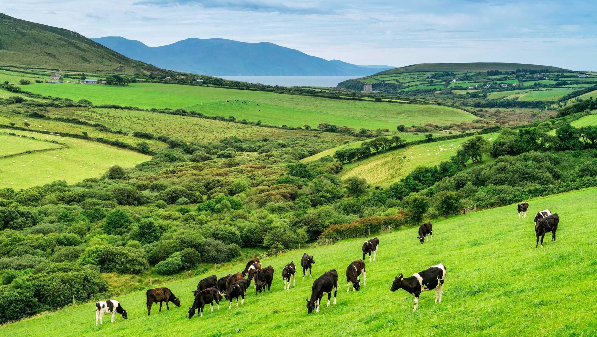 Farming: Minister Heydon outlines progress on Ireland’s nitrates derogation request
