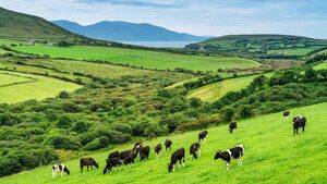 Farming: Minister Heydon outlines progress on Ireland’s nitrates derogation request