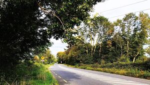 ‘Just appalling’ - South East TDs criticise chopped N24 Waterford to Cahir scheme in the Dáil