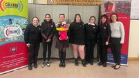 College awareness initiative is big hit in Waterford school