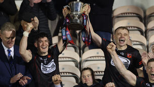 <p>Ballygunner’s Peter Hogan and Michael Mahony lift the trophy. Photo: INPHO/James Crombie</p>
