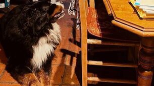 November 2025 was fifth wettest in 85 years of records, Met Éireann says