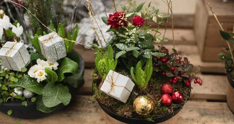 Green Fingers: It's December again