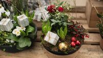 Green Fingers: It's December again