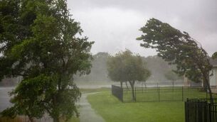 <p>The wind warning will be in place on Friday from 11am to 5pm. Stock image</p>