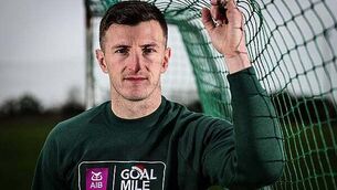 GAA: Limerick continue Munster charge, Dublin and Louth set for Leinster decider