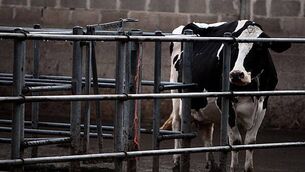 Taoiseach insists budget measures will benefit ‘lowest-paid people’