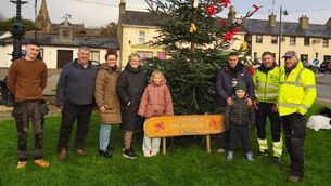 <p>The Forget Me Knot tree is in Portlaw this Christmas </p> <p>The Forget Me Knot tree is in Portlaw this Christmas </p>
