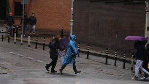 Investigation into cause of gorse fire which resulted in homes evacuated in Waterford city Investigation into cause of gorse fire which resulted in homes evacuated in Waterford city
