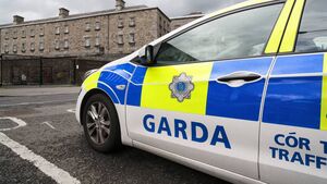 Garda initiative in Waterford could be a 'lifesaver'