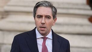 Ivana Bacik repeats Labour's plan to introduce state-run integration centres Ivana Bacik repeats Labour's plan to introduce state-run integration centres