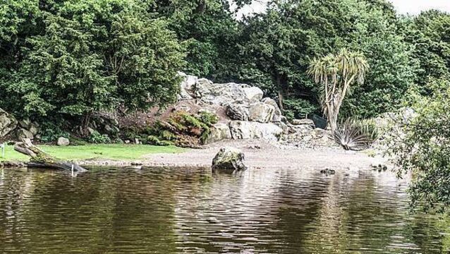 Fota Wildlife Park reopening date set after avian flu closure