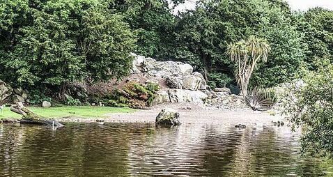 Fota Wildlife Park reopening date set after avian flu closure