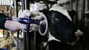 Sword pistol linked to 1689 Siege of Derry sells for £40,000 at auction