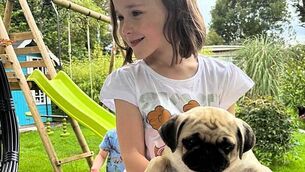 Gardaí investigate death of man at Longford sports facility Gardaí investigate death of man at Longford sports facility