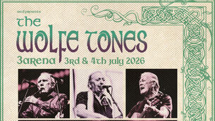 Eamon Ryan criticises false stories and says online disinformation is ‘really toxic’