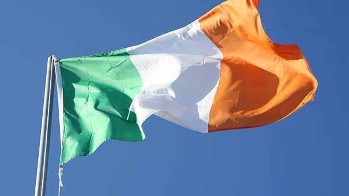 Council passes motion to call on Taoiseach and Stormont for United Ireland citizens' assembly