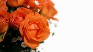 Woman (70s) dies in car crash in Limerick Woman (70s) dies in car crash in Limerick