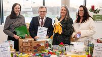 Mayor launches sensory toys and equipment in Waterford library