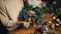 Green Fingers: It is beginning to look at lot like Christmas
