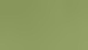 Increase on complaints made to Council