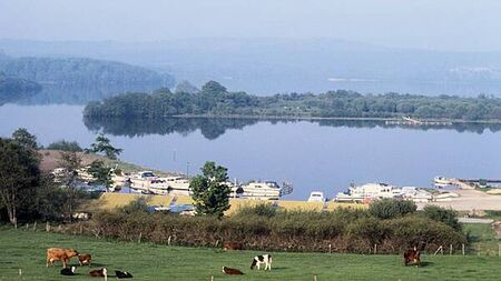 Vigilance urged as quagga mussel discovered for first time in North