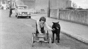 What did you do in your childhood?