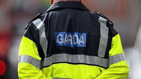 Eight houses in west Dublin searched during investigation into Clondalkin fire attack