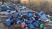 Investigation launched into 'man in a van' dumping incident in Waterford